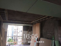 弗莱明戈
